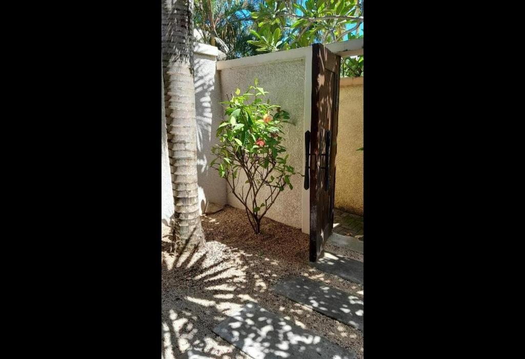 Oasis 1 Villa Tropicale Grand Bay Εξωτερικό φωτογραφία