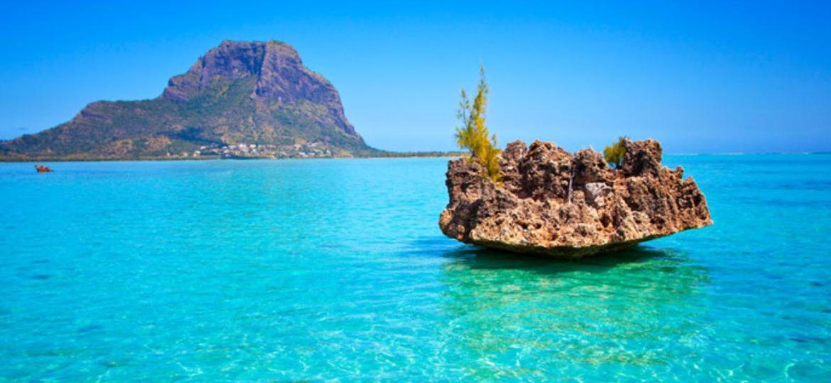Oasis 1 Villa Tropicale Grand Bay Εξωτερικό φωτογραφία