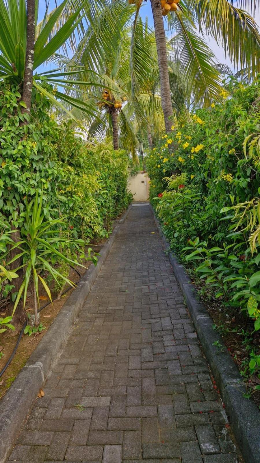 Oasis 1 Villa Tropicale Grand Bay Εξωτερικό φωτογραφία